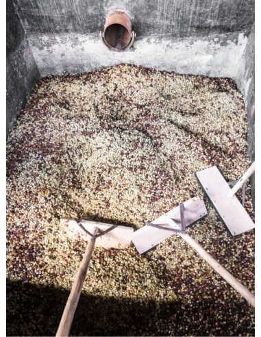 GourmetKáva Specialty - Kenya Ngiriambu 250g