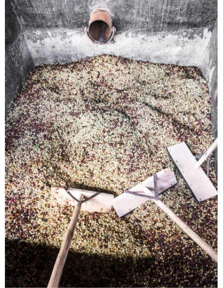 GourmetKáva Specialty – Kenya Kiri ESP 250 g