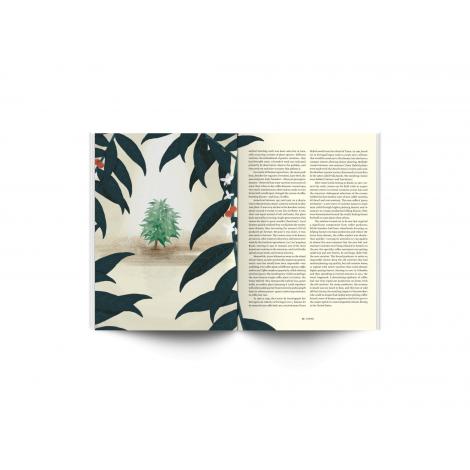 Časopis Standart č. 11