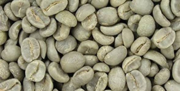 Zelená káva - účinky nepraženej kávy