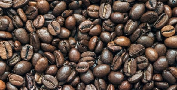 Druhy kávovníkov a produkcia kávy