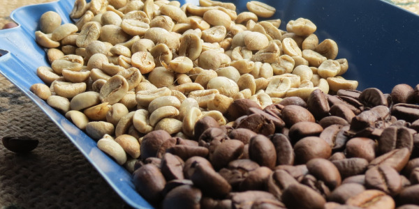 Príprava zelenej kávy s pražením