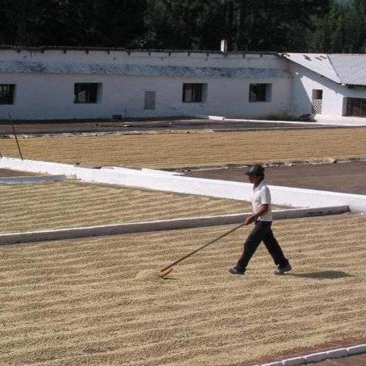 Metódy spracovania kávy, príbeh kávového zrna