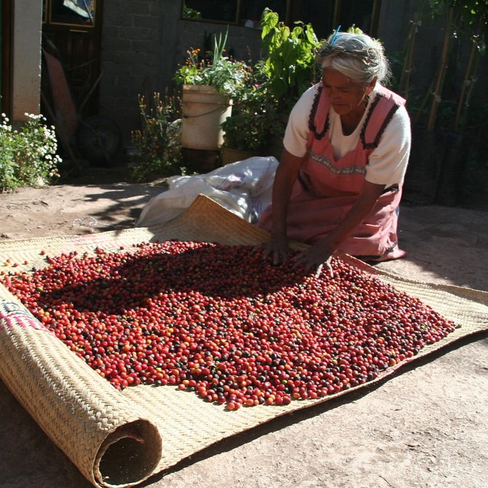 Fair trade káva